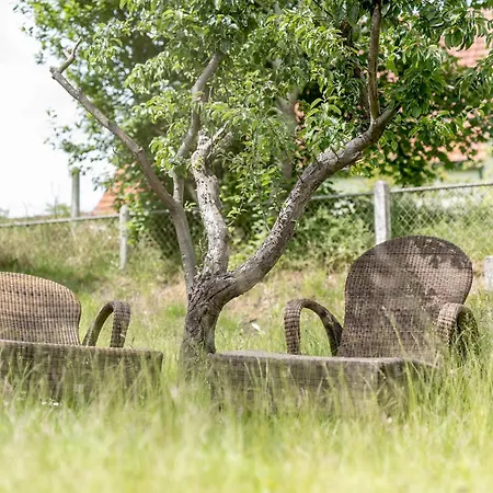 Appartement Else In Der 'stranddistel' Langeoog